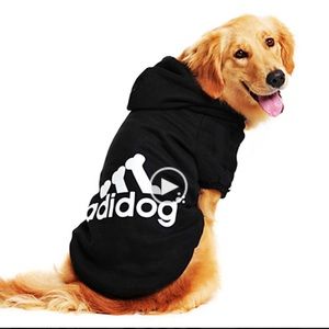 adidas dog